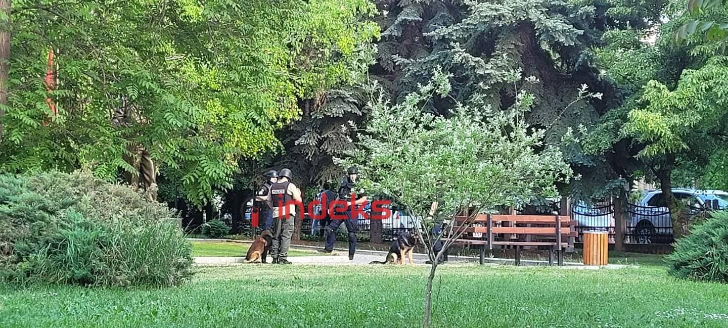 policia rektorat njesia me qen