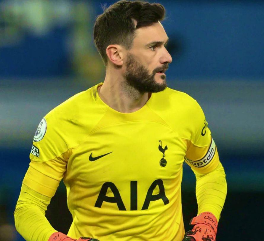 Lloris 2015