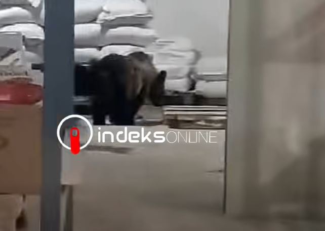 dragash-perfundon-me-sukses-operacioni-per-largimin-e-arinjve-nga-zona-e-banuar