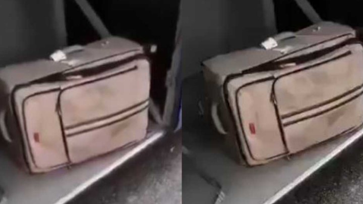 irlande-pasagjeret-degjojne-zera-nga-nje-valixhe-e-nxjerrin-nje-grua-prej-aty