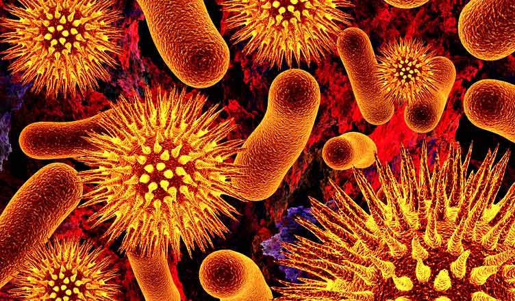 mbi-4-100-te-infektuar-nga-shperthimi-i-parazitit-ciklospora-ne-shba